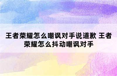 王者荣耀怎么嘲讽对手说道歉 王者荣耀怎么抖动嘲讽对手